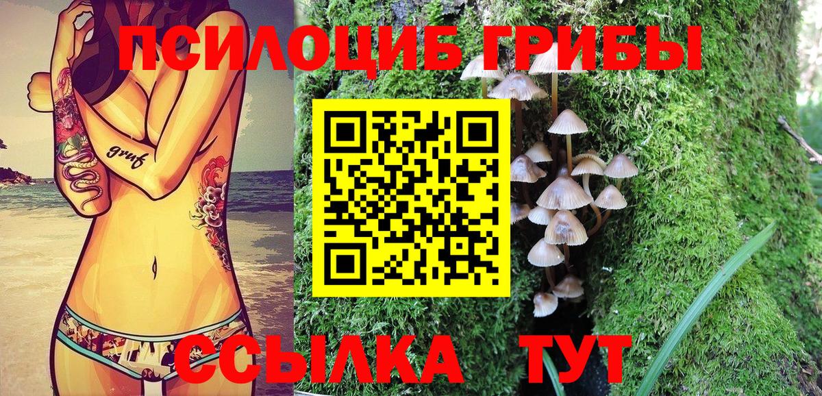 Псилоцибиновые грибы Cubensis  купить закладку  Балабаново  Вход с VPN  Галлюциногенные грибы Cubensis 