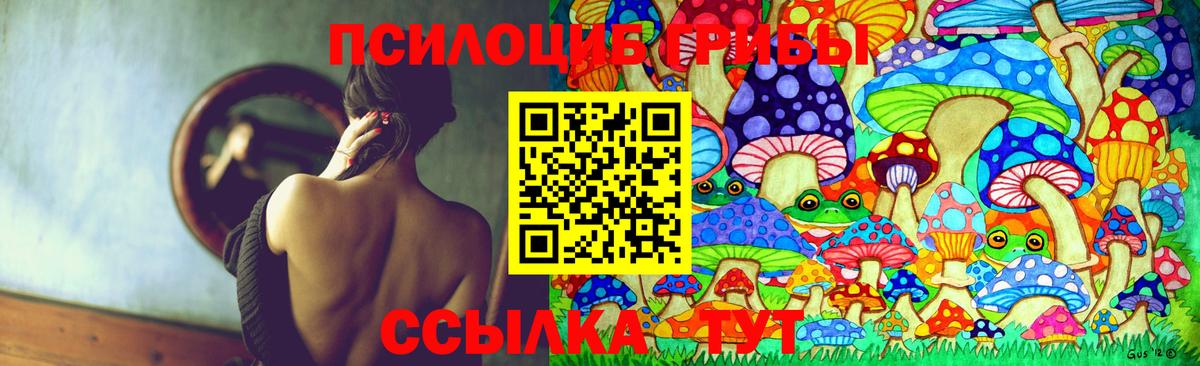 Галлюциногенные грибы Cubensis Балабаново